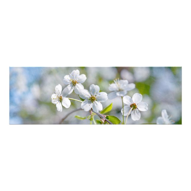 Blume Fotodruck (Vorne)