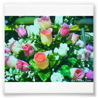 Blume Fotodruck