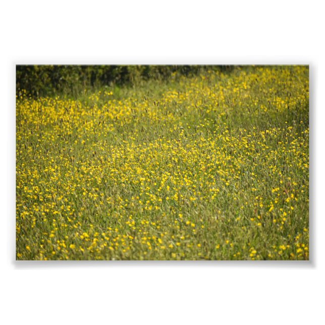 Blume Fotodruck (Vorne)