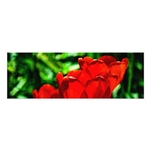 Blume Fotodruck