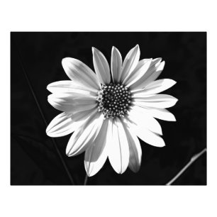 Blume Fotodruck