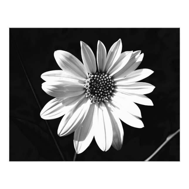 Blume Fotodruck (Vorne)