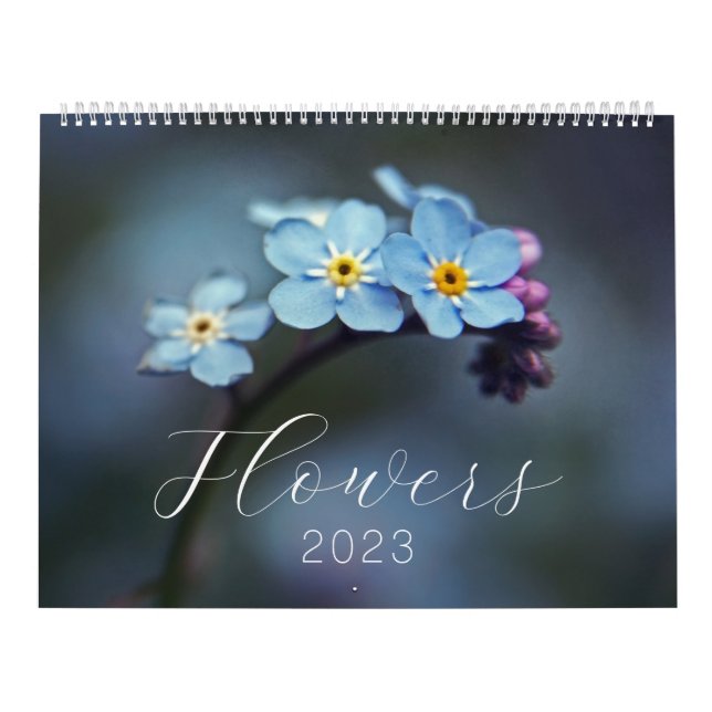 Blume Fotografie 2023 Kalender