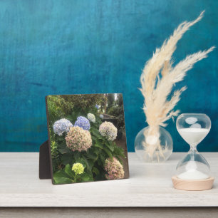 Blume Fotoplatte
