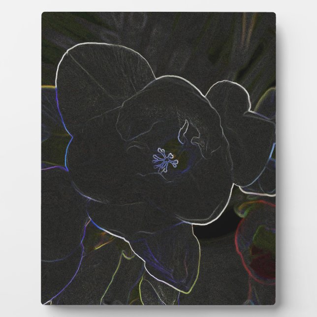 Blume Fotoplatte (Vorderseite)