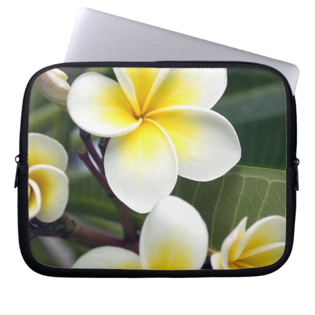 Blume Frangipani Laptopschutzhülle (Vorderseite)