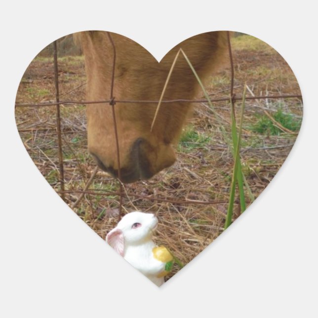 Blume Frühjahr Herz-Aufkleber (Vorderseite)