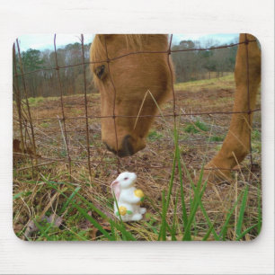 Blume Frühjahr Mousepad