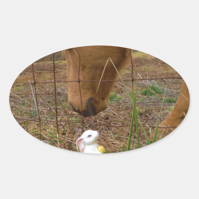 Blume Frühjahr Ovaler Aufkleber (Vorderseite)