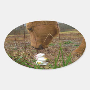 Blume Frühjahr Ovaler Aufkleber