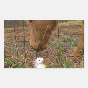 Blume Frühjahr Rechteckiger Aufkleber