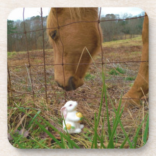 Blume Frühjahr Untersetzer