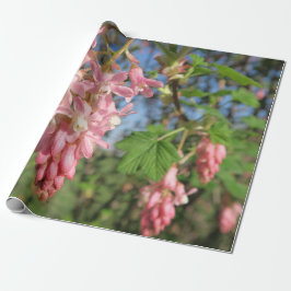 Blume, Frühling, Rosa, Sommer, Natur, Geschenkpapier