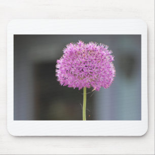 Blume für alle mousepad