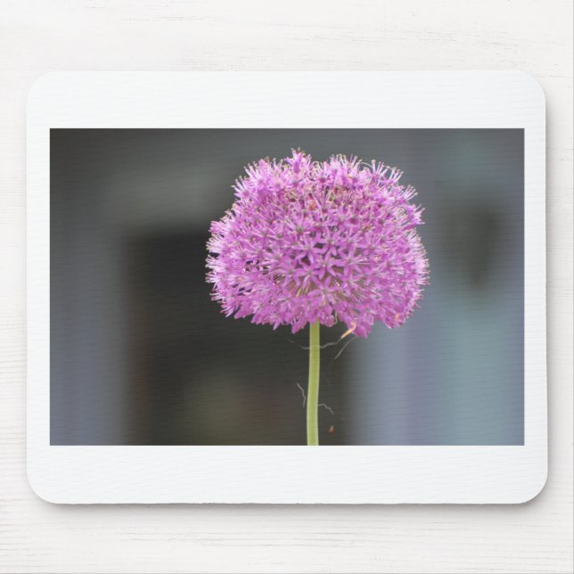 Blume für alle mousepad (Vorne)