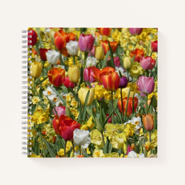 Blume für bunte Tulips und Daffodien Notizbuch (Vorderseite)