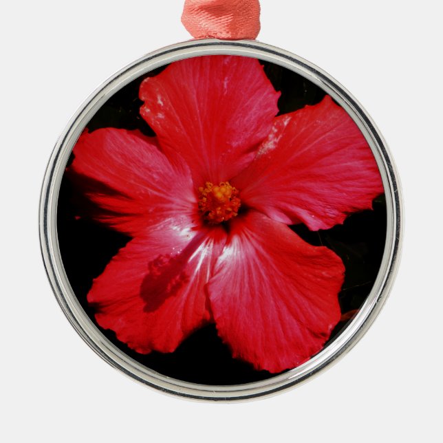 Blume für den roten Hibiskus in Rot Ornament Aus Metall (Vorne)