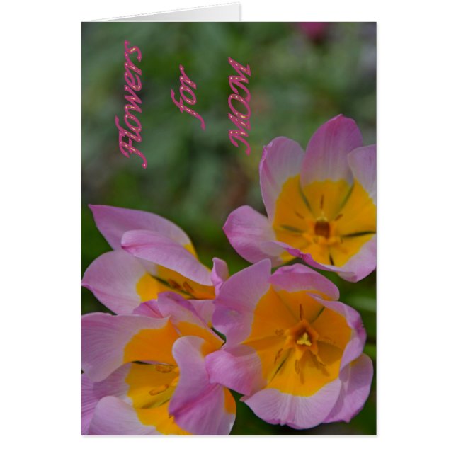 Blume für die Mama (Vorne)