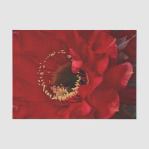 Blume für Feuerlichtkaktus Seidenpapier