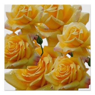 Blume für Häuser Poster