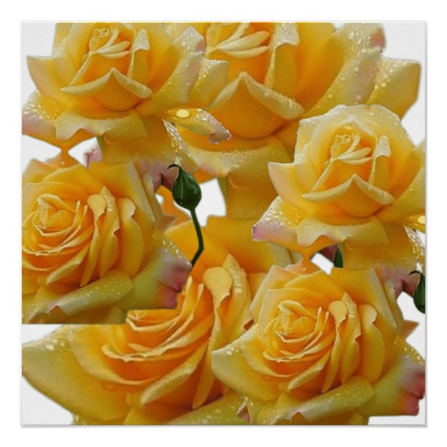 Blume für Häuser Poster (Vorderseite)