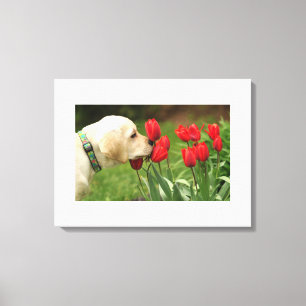 Blume für Hunde Lieben Leinwanddruck