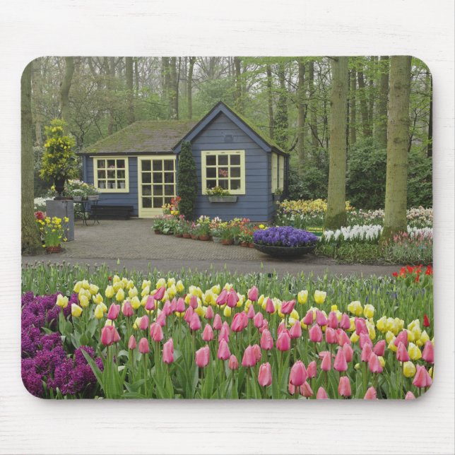 Blume für kleine Hütten, Keukenhof Gardens, Mousepad (Vorne)