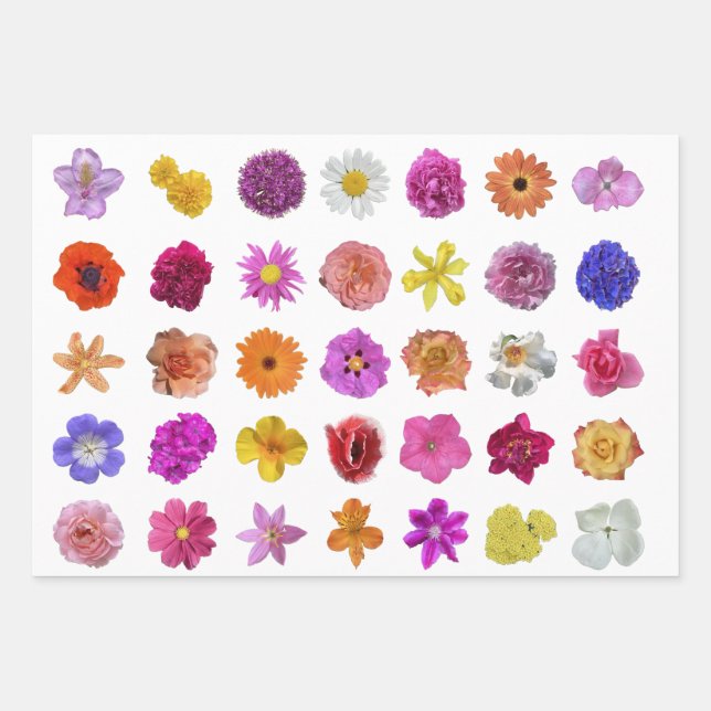 BLUME GALORE! Geschenkpapier Set (Vorderseite 3)