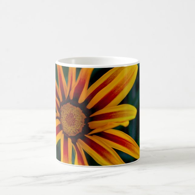 Blume Gazania Tasse (Mittel)