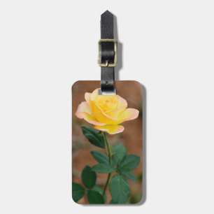 Blume Gelb Rosa Flora Blume Rose Gepäckanhänger