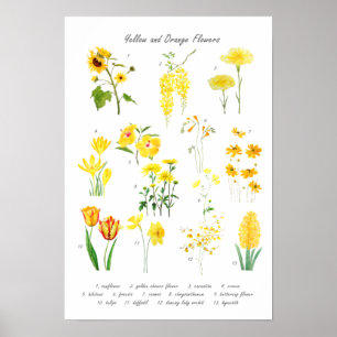 Blume Gelb und Orange Poster