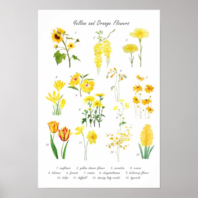 Blume Gelb und Orange Poster (Vorne)