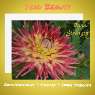 Blume Gelb und Rot Dahlia Botanisches Flora Postkarte