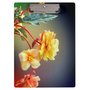 Blume, gelbe Blumen, Petalen-63158 Klemmbrett