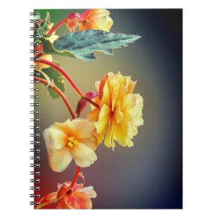 Blume, gelbe Blumen, Petalen-63158 Notizblock