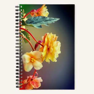 Blume, gelbe Blumen, Petalen-63158 Notizbuch