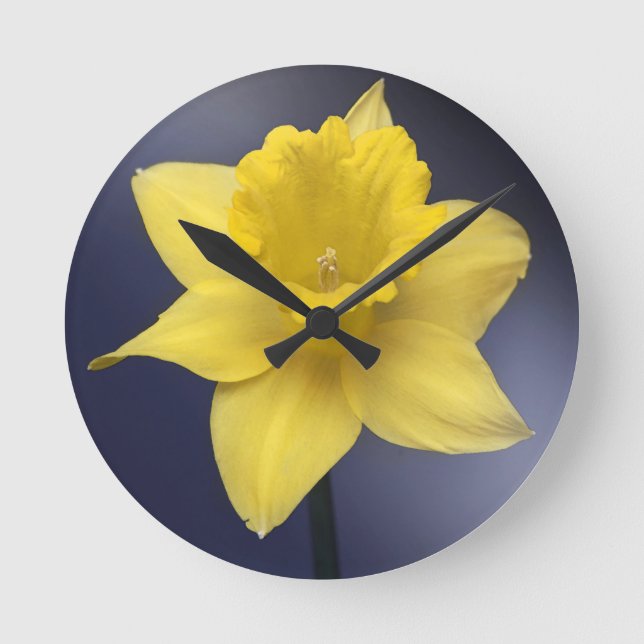 Blume Gelbe Narzisse Aquarellfarbe Runde Wanduhr (Vorderseite)