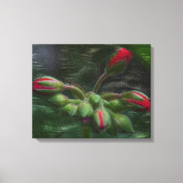 Blume Geranium Buds Leinwanddruck