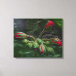 Blume Geranium Buds Leinwanddruck