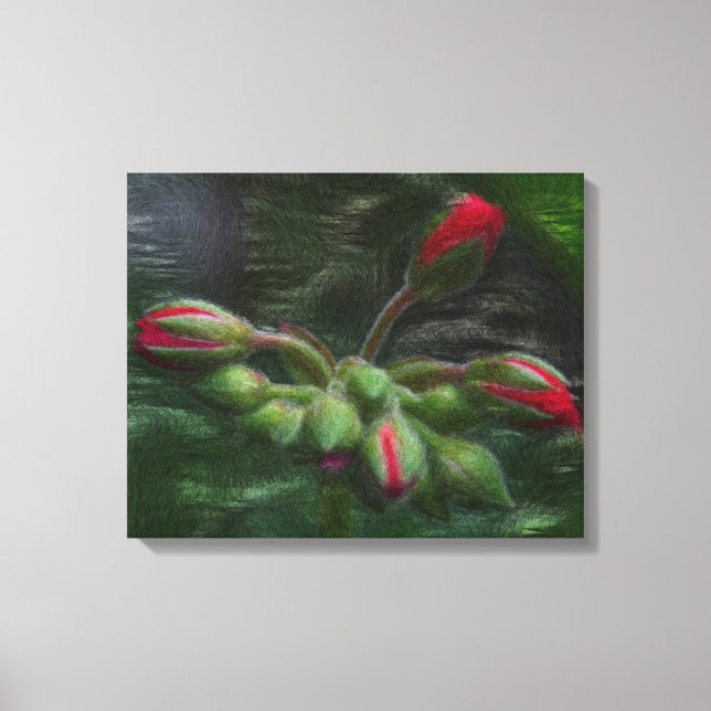 Blume Geranium Buds Leinwanddruck (Vorderseite)