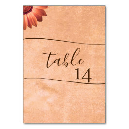 Blume Gerbera auf der Abstrakten Pfirsichhochzeit Tischnummer