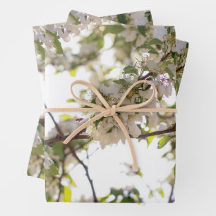 Blume Geschenkpapier Set