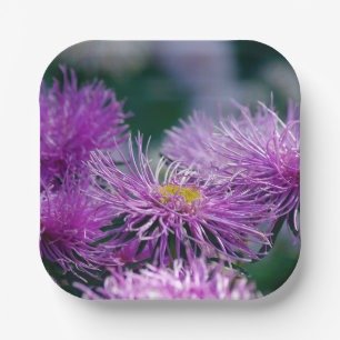 Blume-Geschichten/Aster-Blume Pappteller