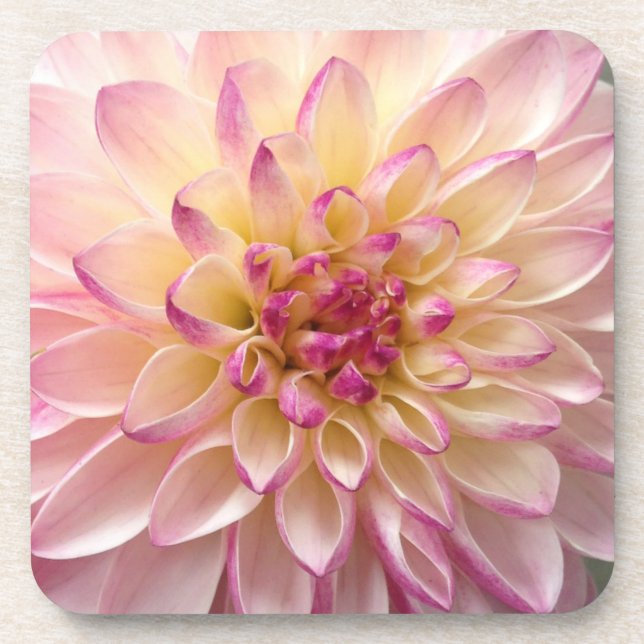 Blume Getränkeuntersetzer (Vorderseite)