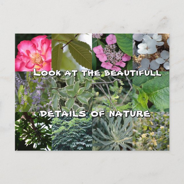 Blume-Grün-Grün-Frühling-Frühstück Postkarte (Vorderseite)