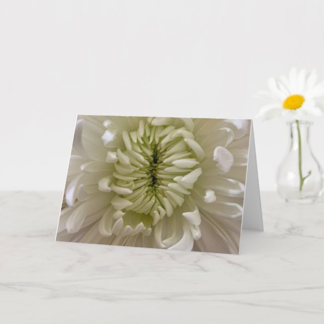 Blume Grußkarte Karte (Kleine Pflanze)