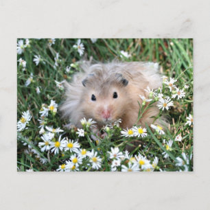 Blume Hamster Postkarte