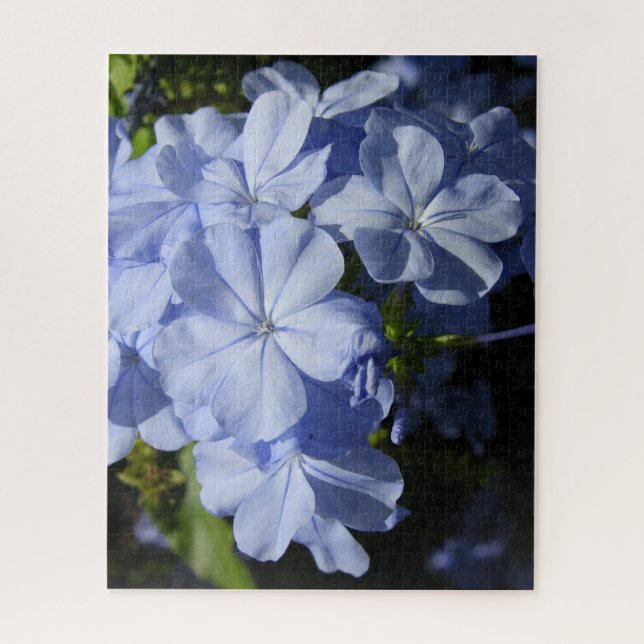 Blume Hawaiian Blue Plumbago Puzzle (Vertikal)
