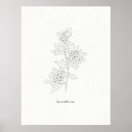 Blume Hawthorn Art Print Poster