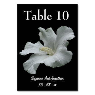 Blume-Hochzeit mit weißem Hibiskus Tischnummer